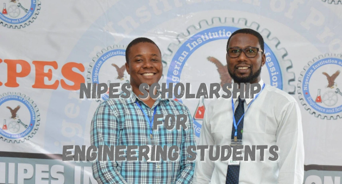 NIPES Engineering and Science Scholarship | How To Apply & Qualifications