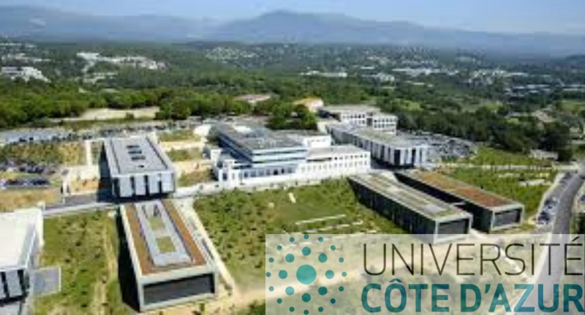 IDEX Scholarship at Université Côte d’Azur | Application Deadline & Qualifications