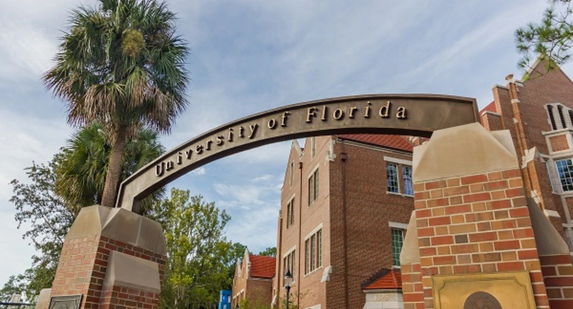 University of Florida Graduate Scholarship | How to Apply & Eligibility Criteria