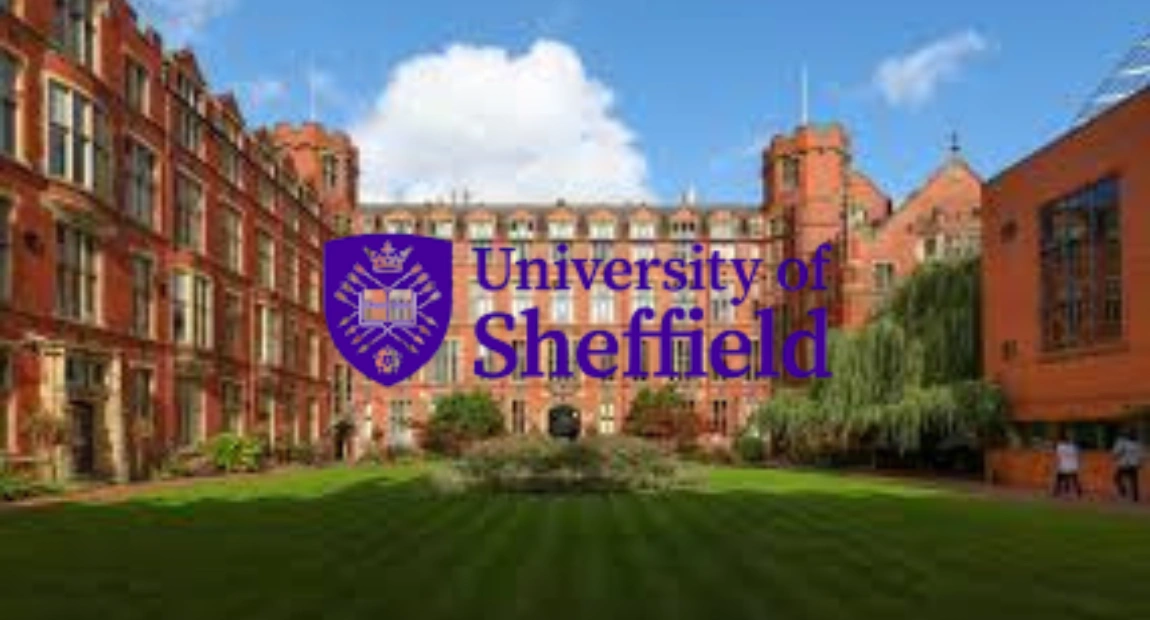 University of Sheffield Sanctuary Scholarship | Qualifications & Application Deadline