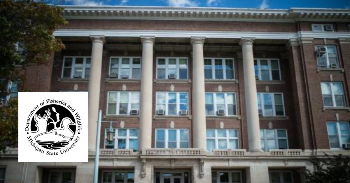 Michigan State University Masters Scholarship in USA | Application & Qualifications.