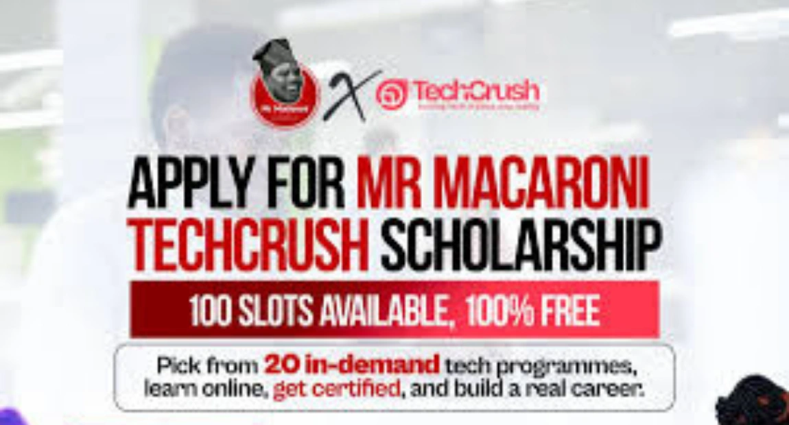 Mr Macaroni Tech Scholarship | Eligibility Criteria & Application Guide