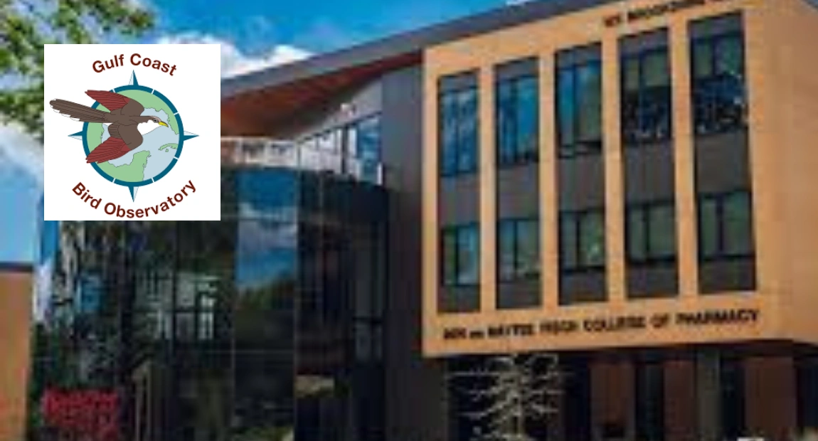 University of Texas Scholarship | How to Apply & Eligibility Criteria